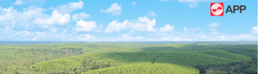 ASIA PULP AND PAPER CO LTD