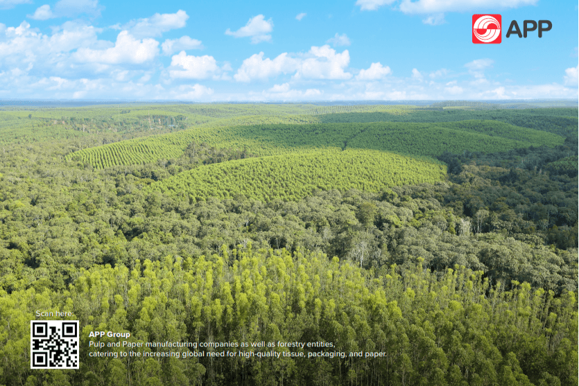 ASIA PULP AND PAPER CO LTD